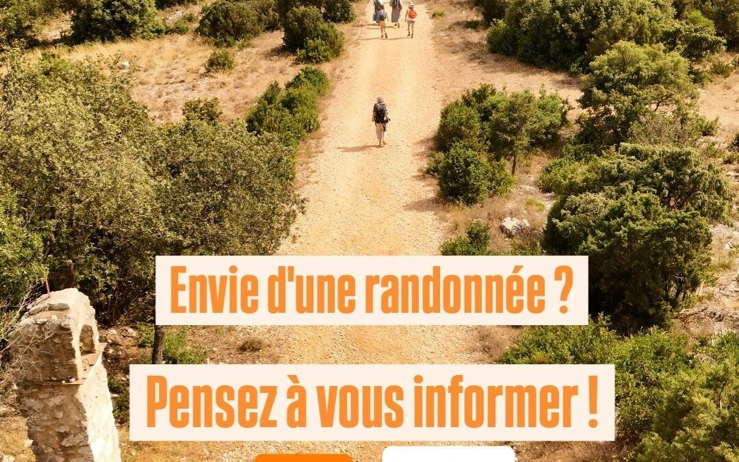 ⚠️ Accès aux massifs forestiers réglementé