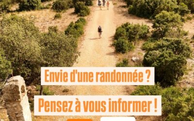 ⚠️ Accès aux massifs forestiers réglementé